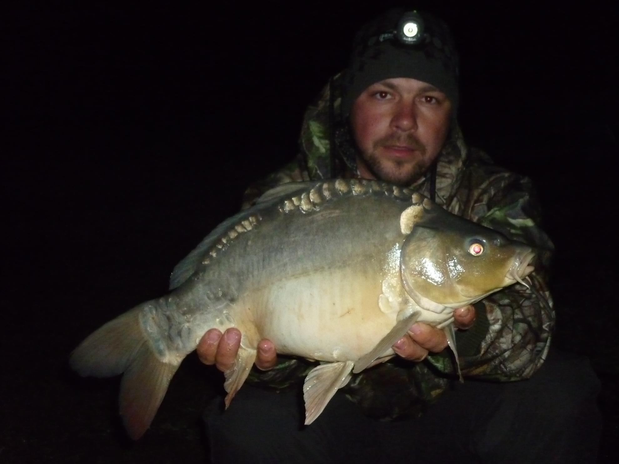 Stejeris 2011 - p1010991.JPG